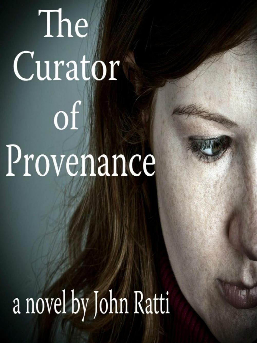 Big bigCover of The Curator of Provenance