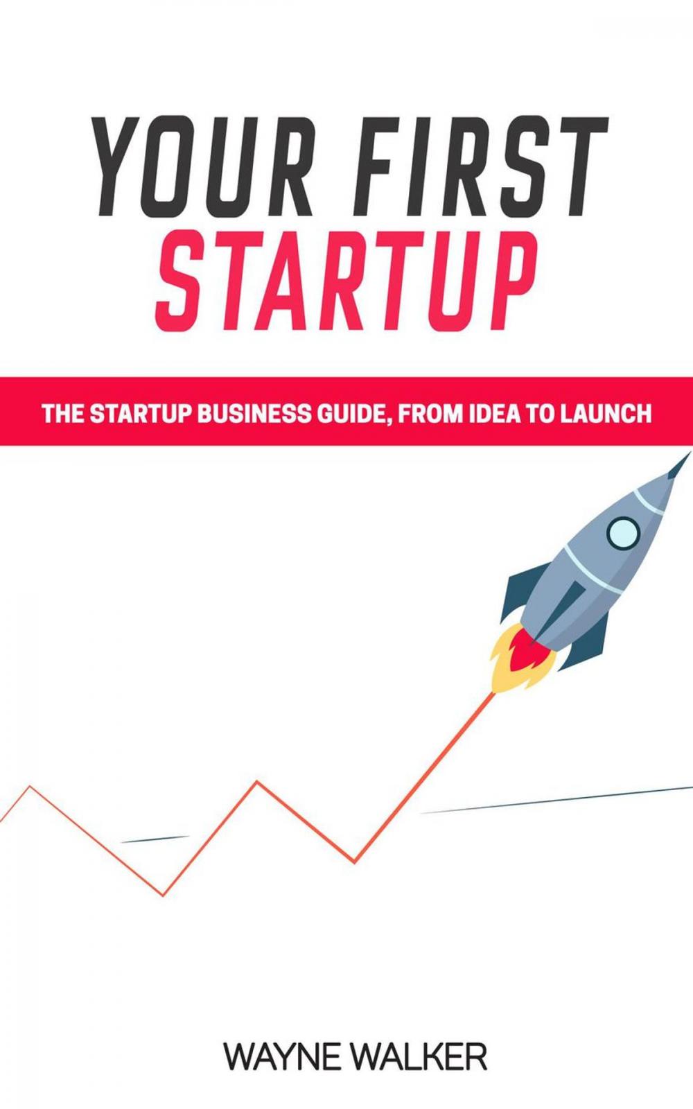 Big bigCover of Your First Startup
