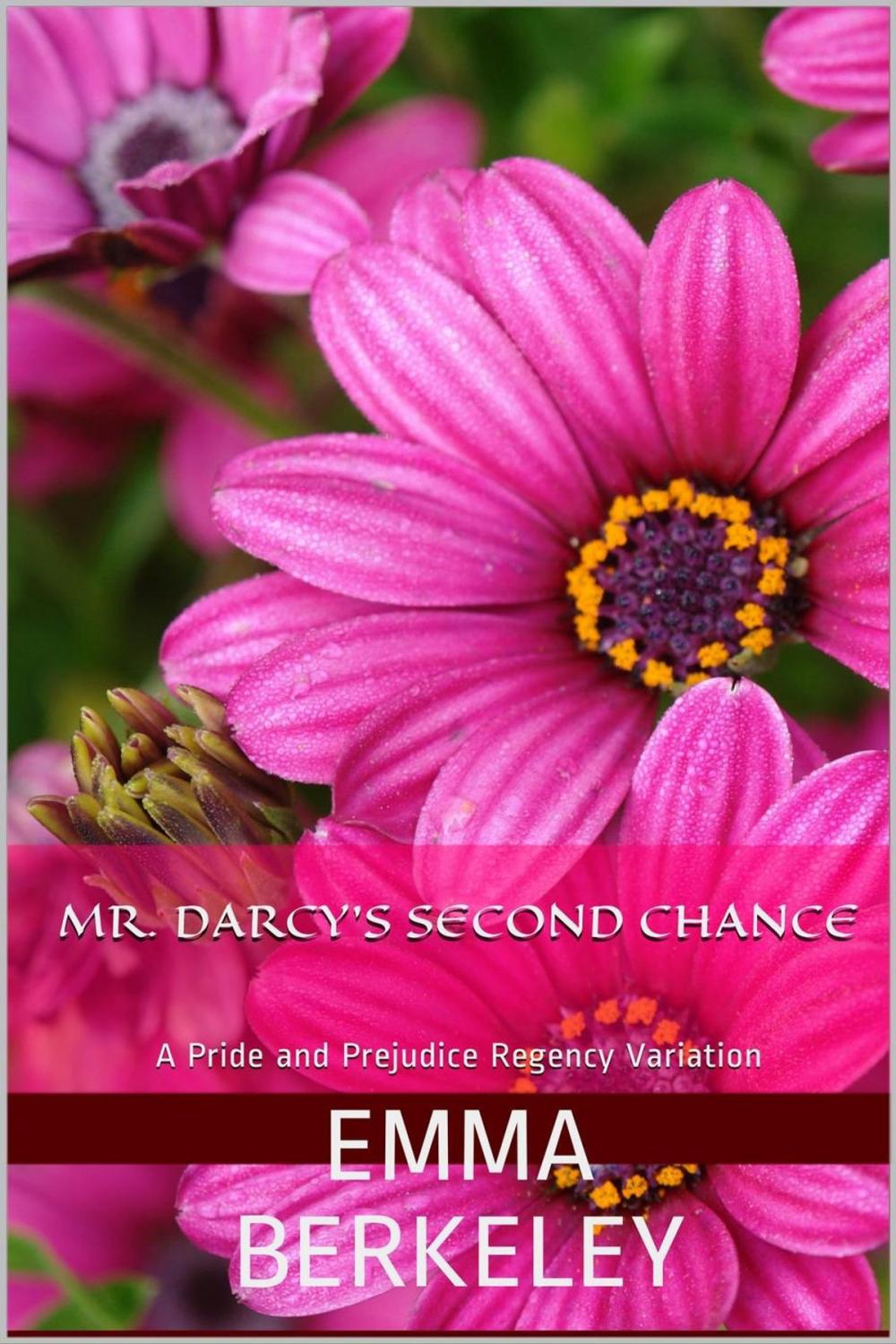 Big bigCover of Mr. Darcy's Second Chance