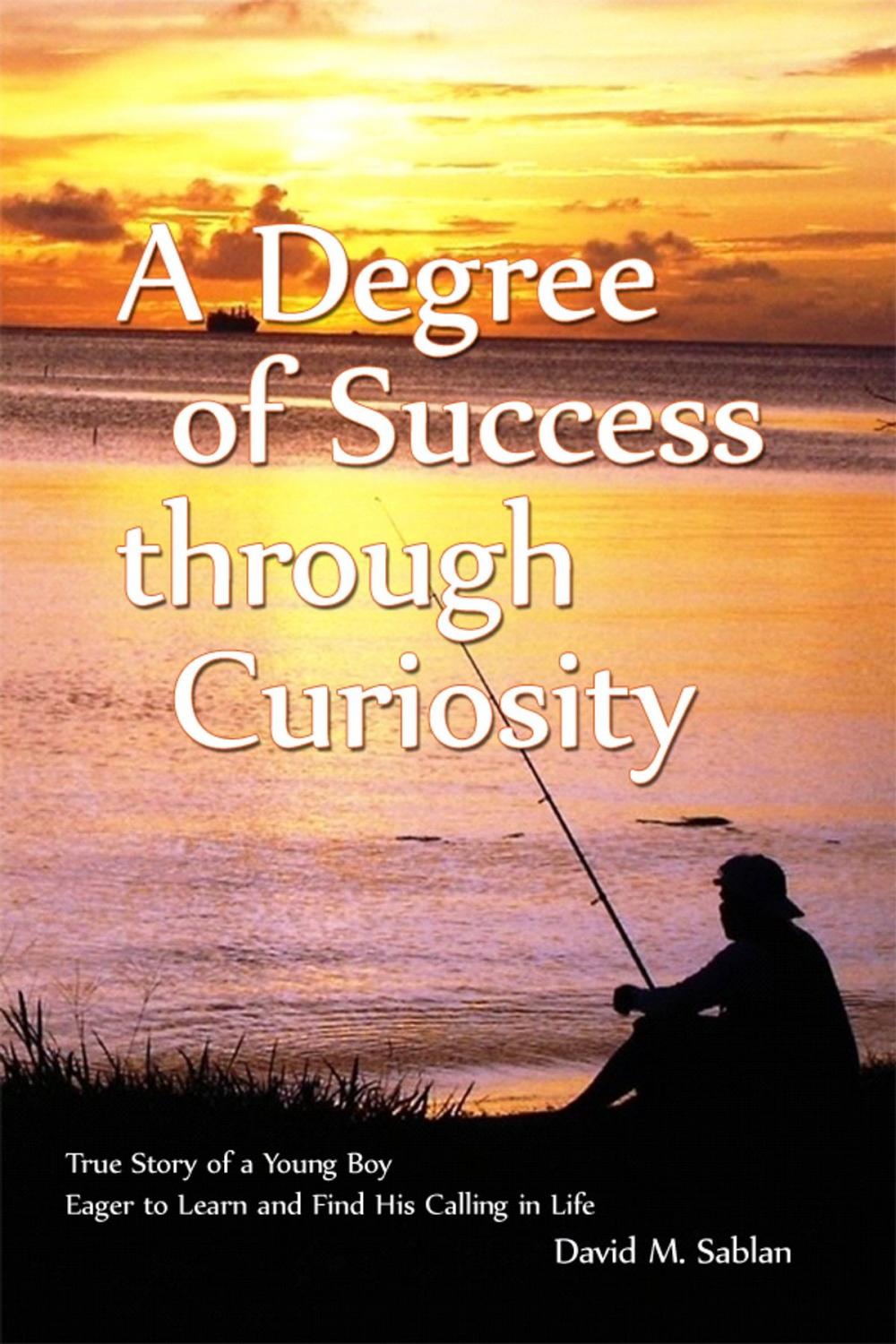 Big bigCover of A Degree of Success through Curiosity