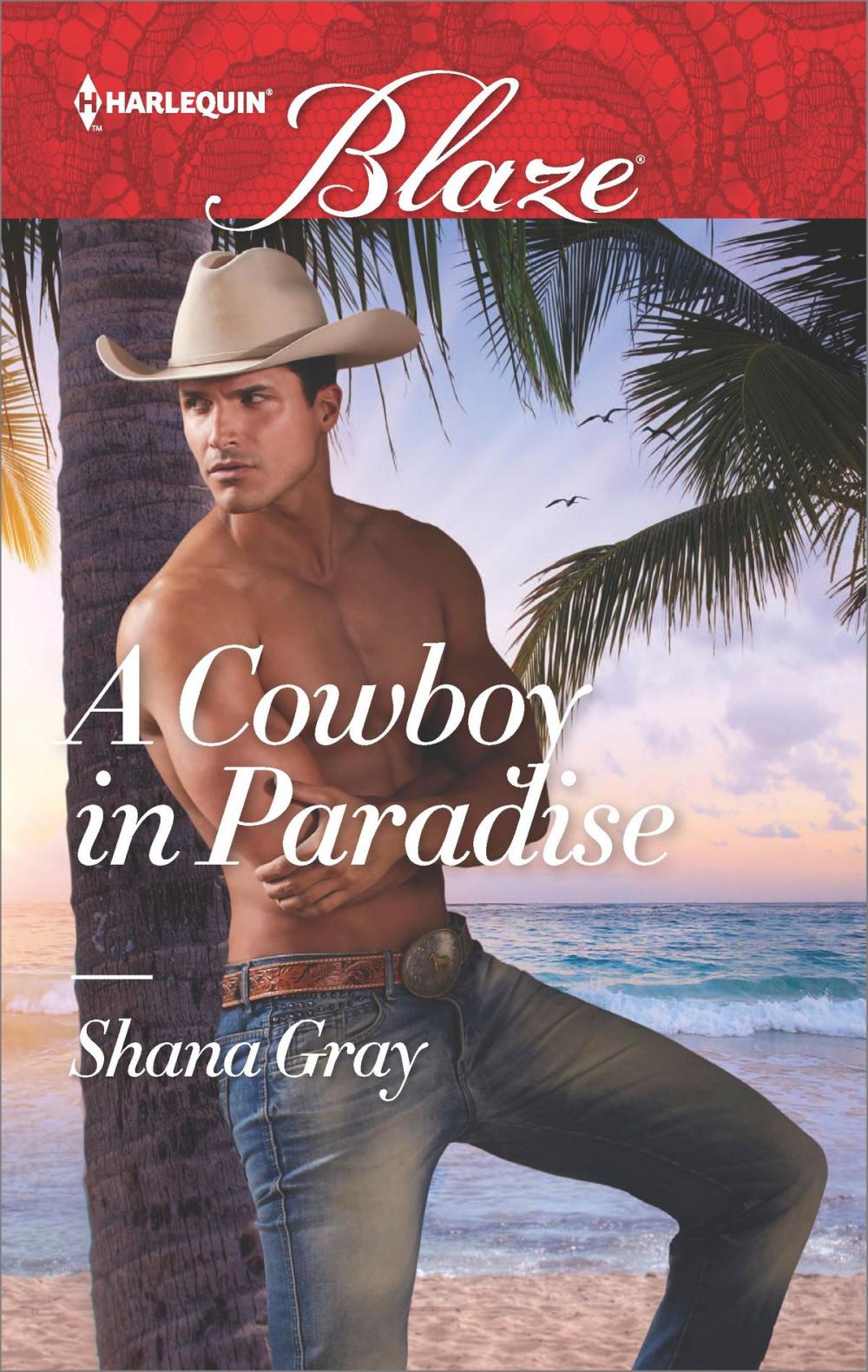 Big bigCover of A Cowboy in Paradise