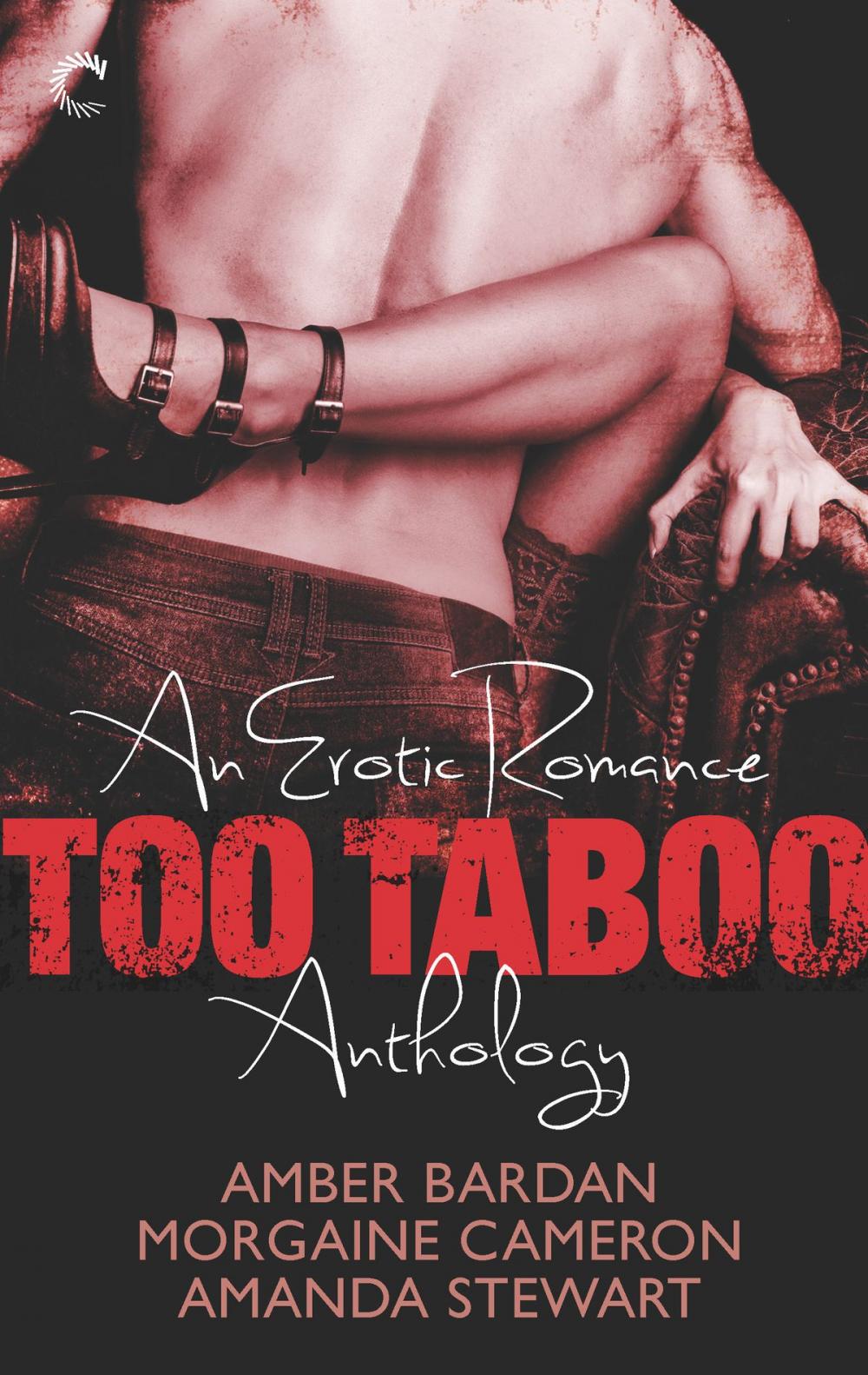 Big bigCover of Too Taboo: An Erotic Romance Anthology