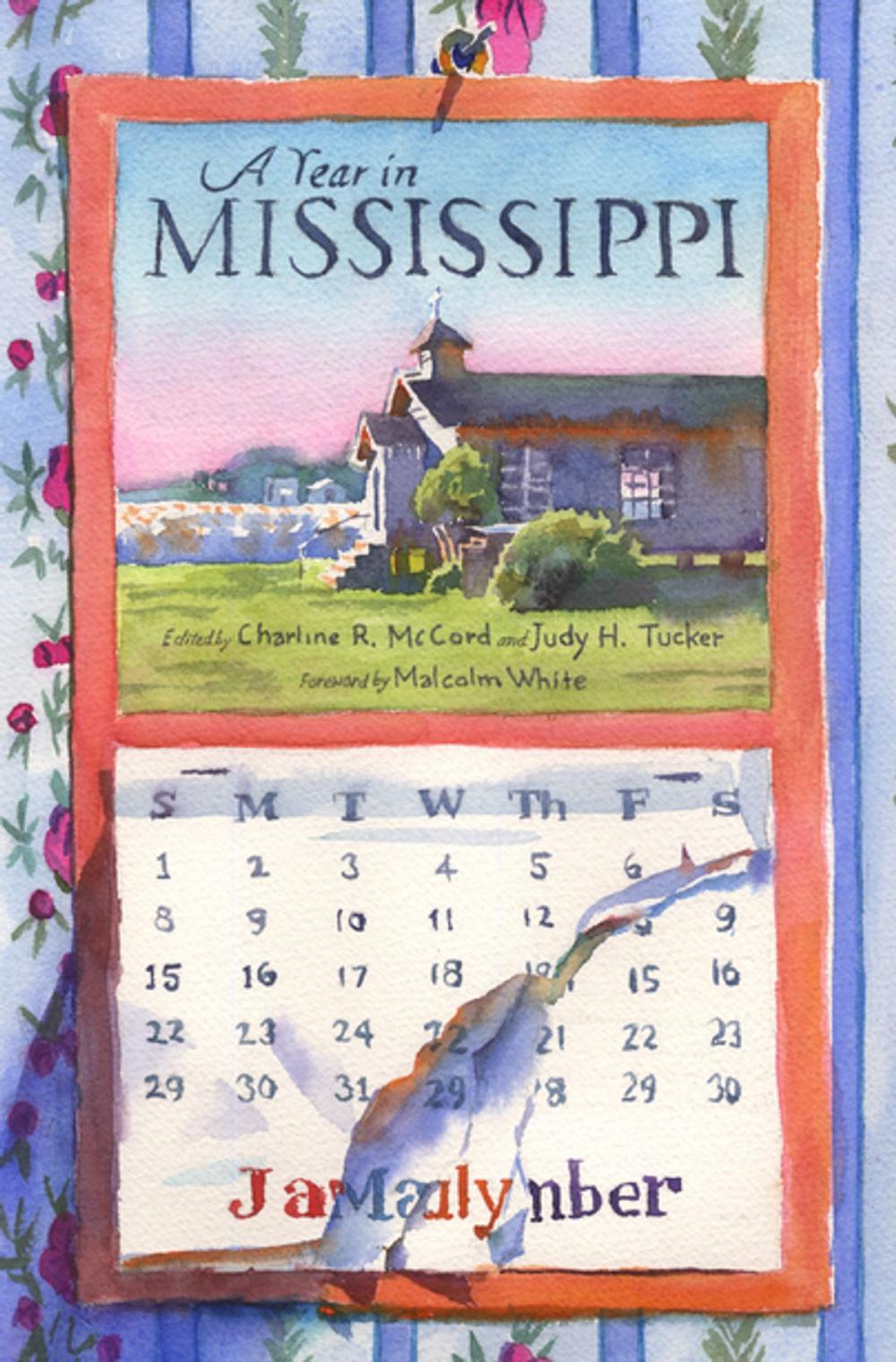 Big bigCover of A Year in Mississippi