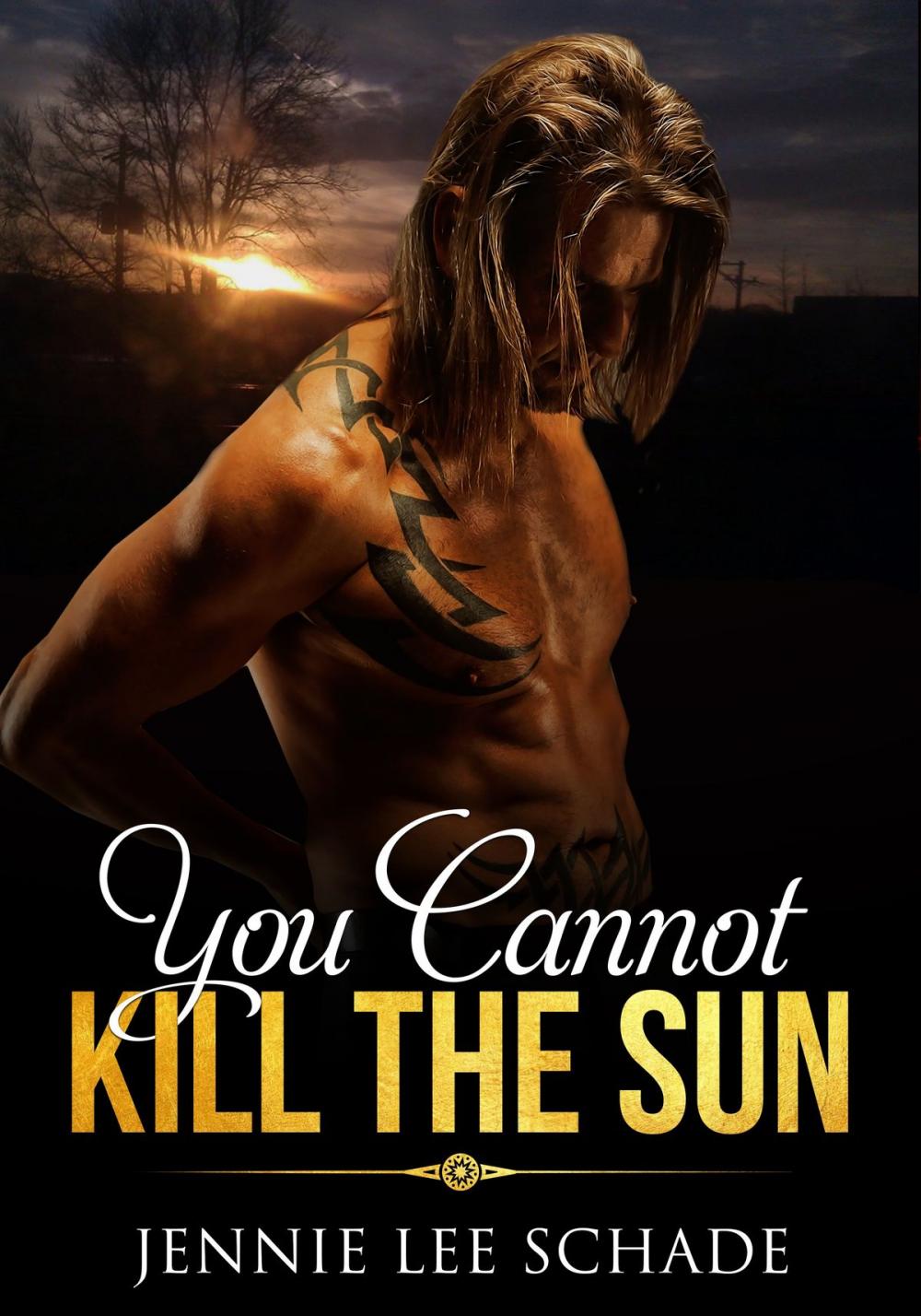 Big bigCover of You Cannot Kill the Sun