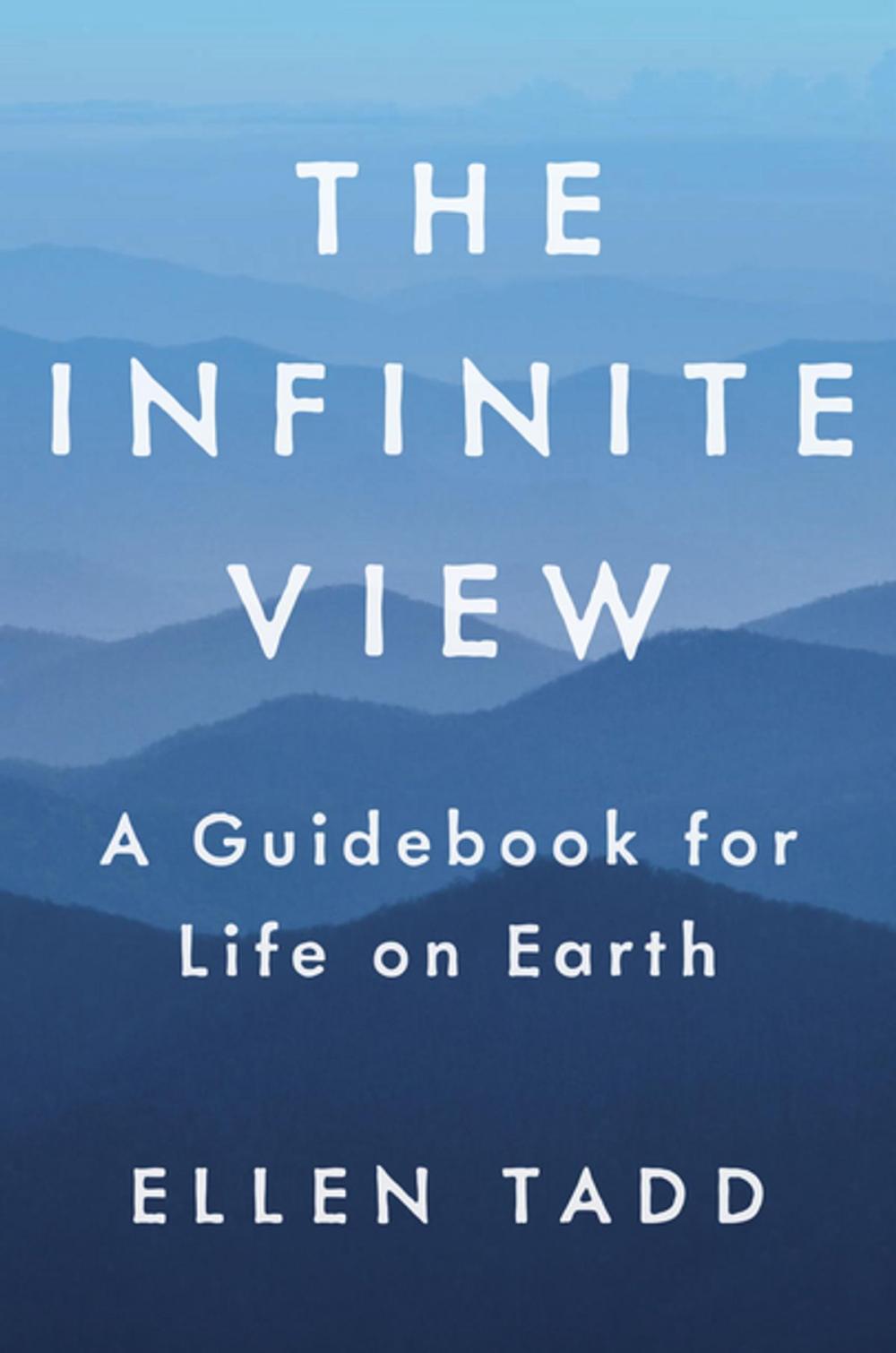 Big bigCover of The Infinite View