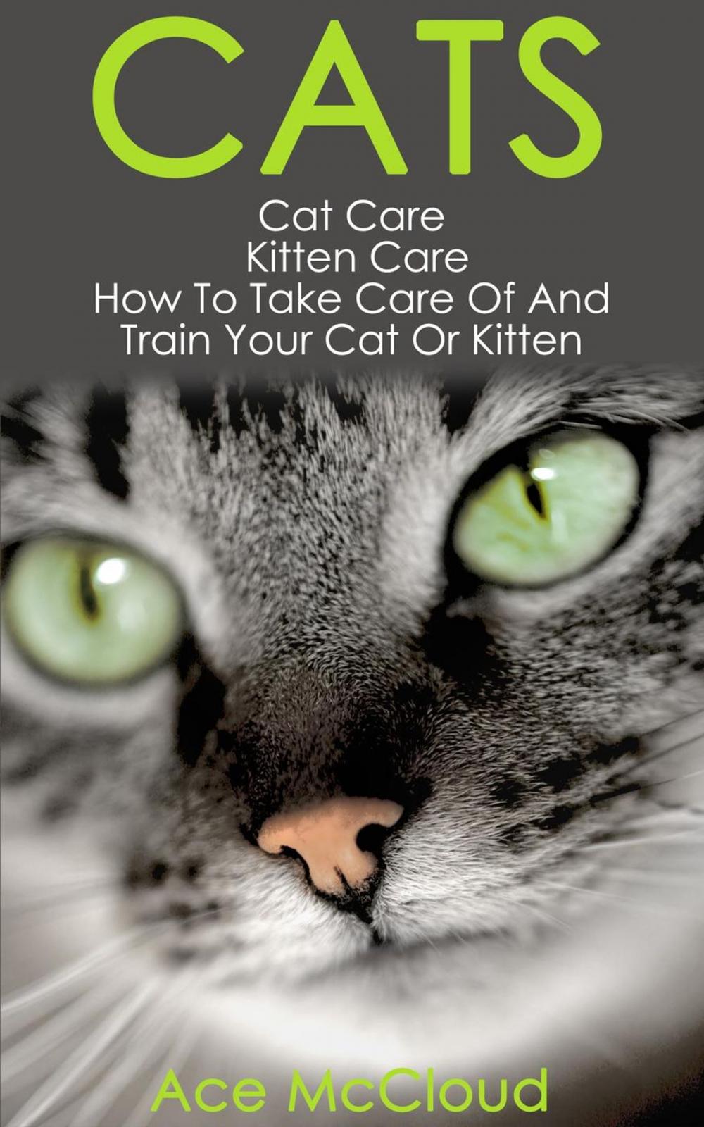 Big bigCover of Cats: Cat Care: Kitten Care: How To Take Care Of And Train Your Cat Or Kitten