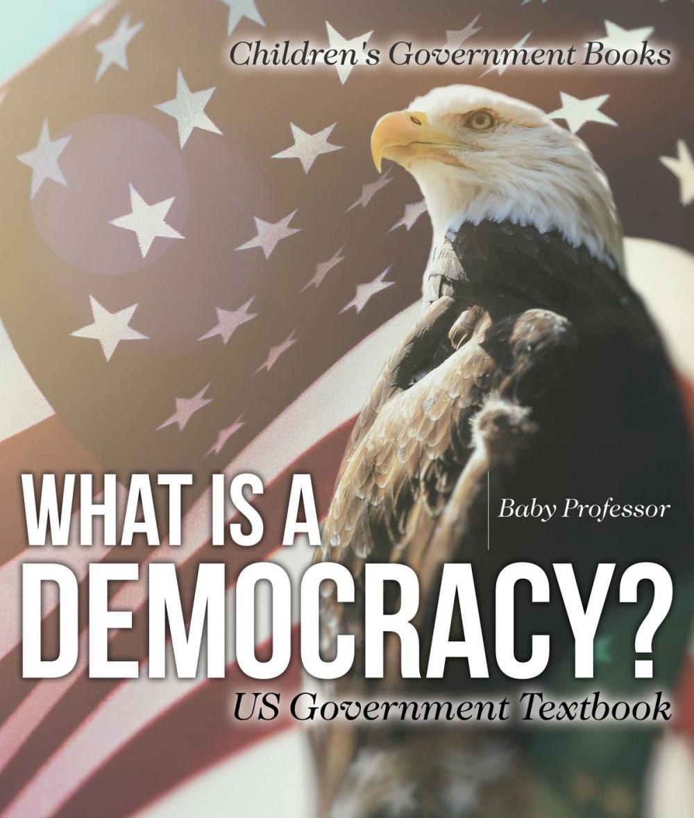 Big bigCover of What is a Democracy? US Government Textbook | Children's Government Books