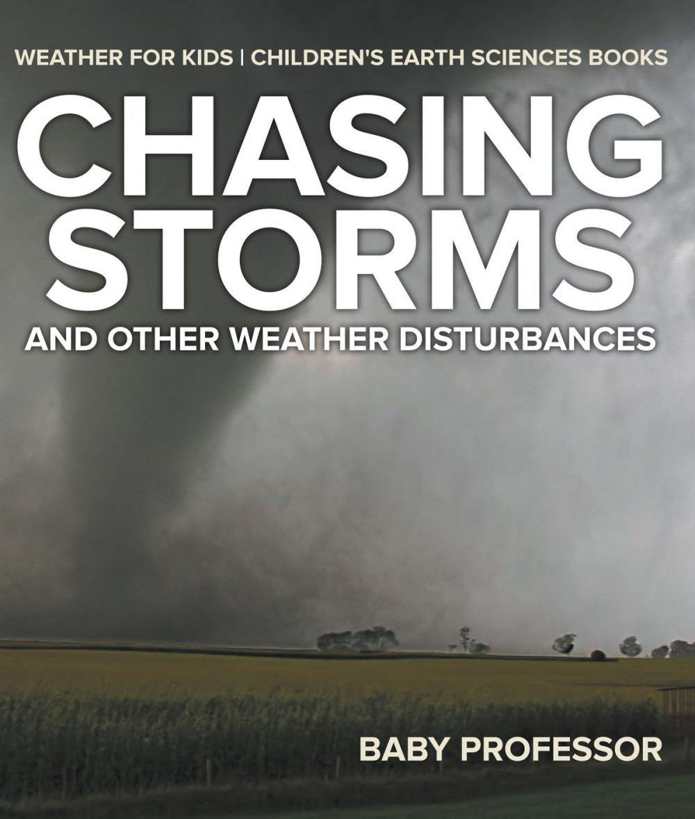 Big bigCover of Chasing Storms and Other Weather Disturbances - Weather for Kids | Children's Earth Sciences Books