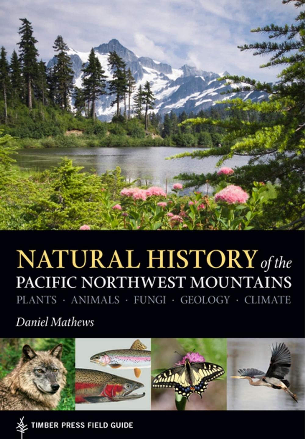Big bigCover of Natural History of the Pacific Northwest Mountains