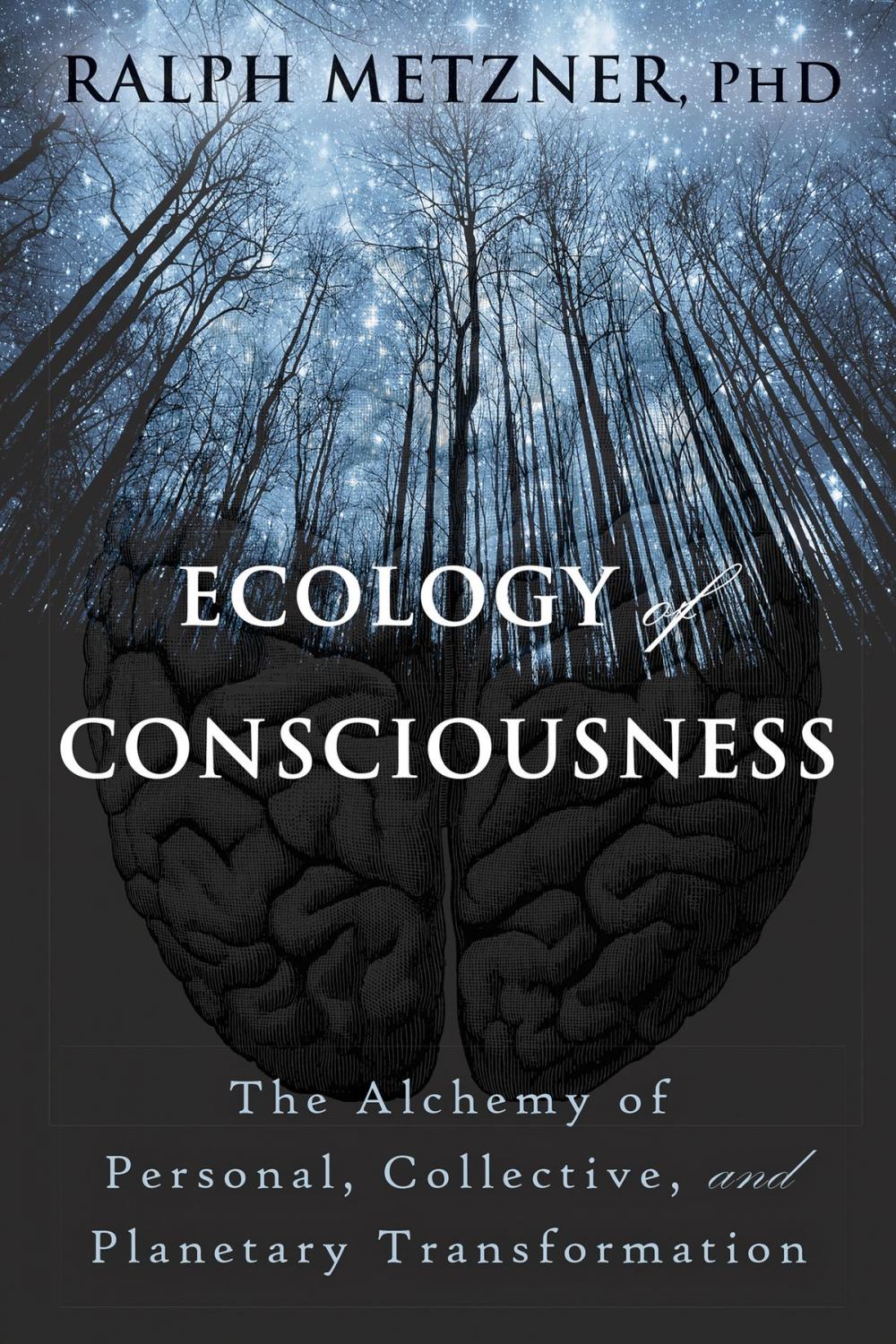 Big bigCover of Ecology of Consciousness
