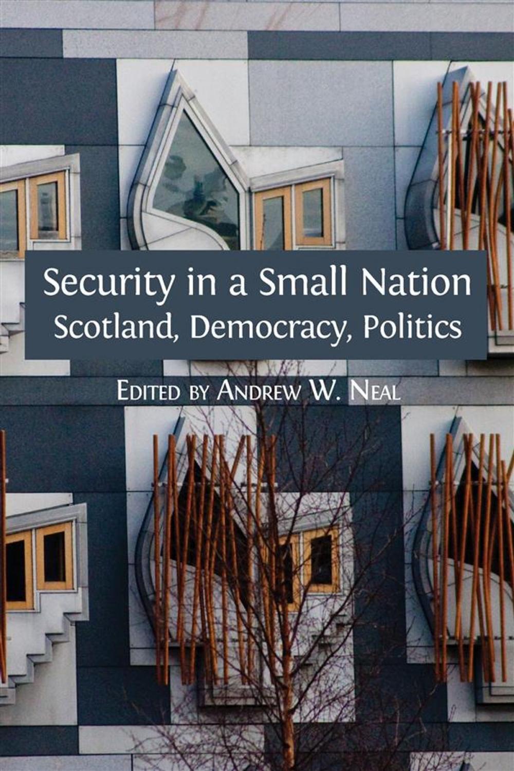 Big bigCover of Security in a Small Nation