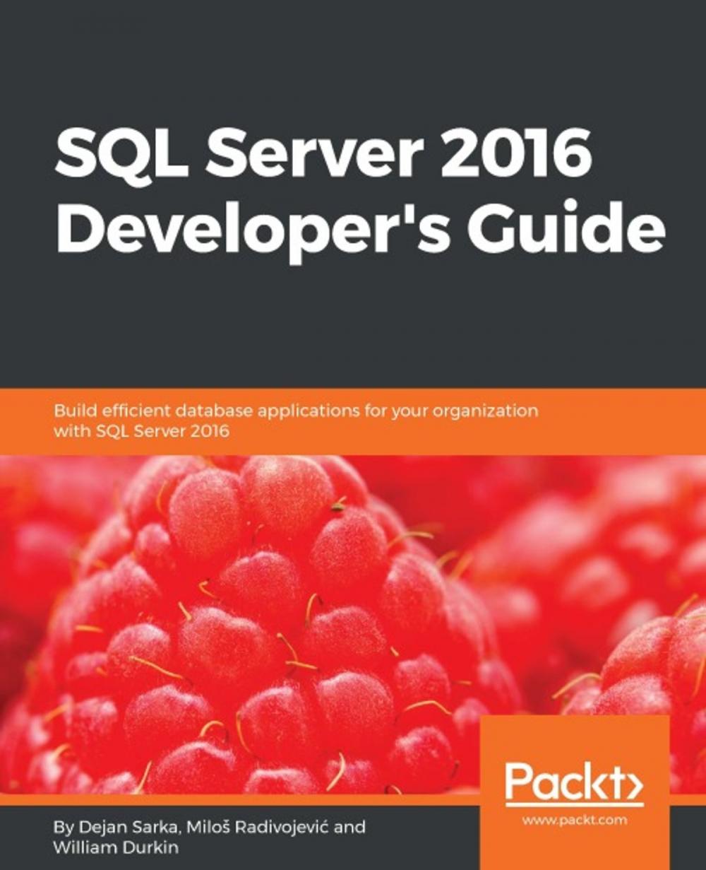 Big bigCover of SQL Server 2016 Developer's Guide