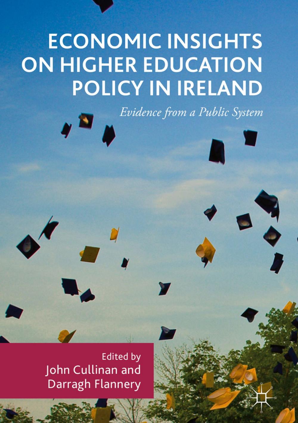 Big bigCover of Economic Insights on Higher Education Policy in Ireland