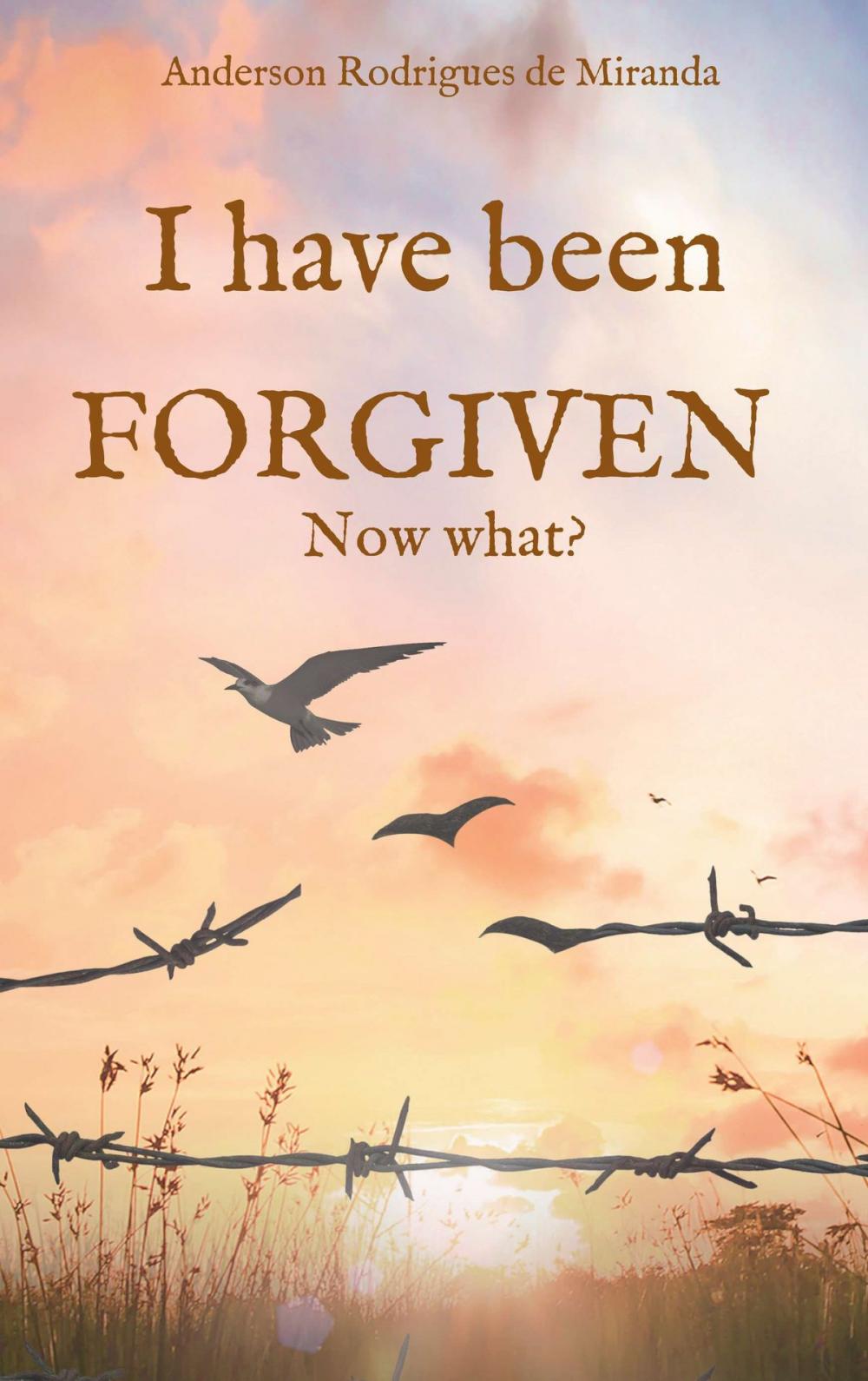 Big bigCover of I have been forgiven. Now what?
