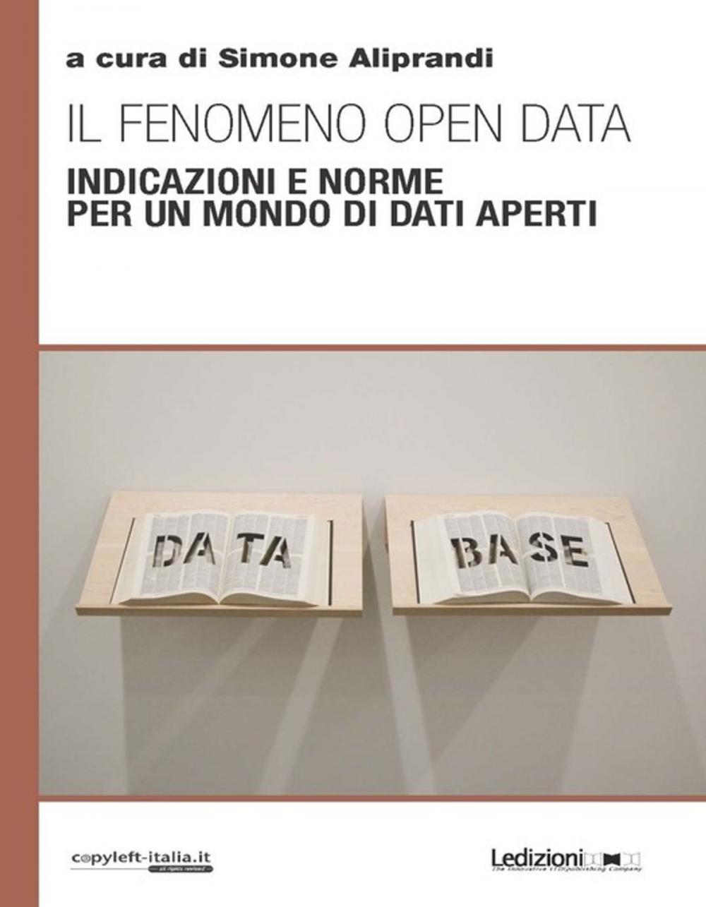 Big bigCover of Il fenomeno open data