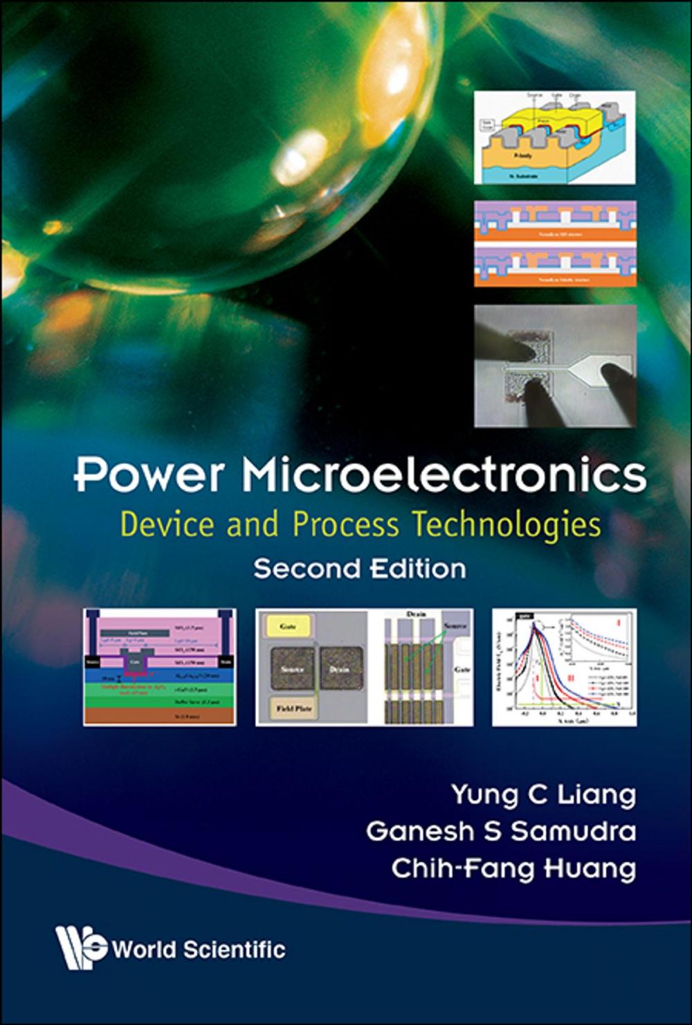 Big bigCover of Power Microelectronics