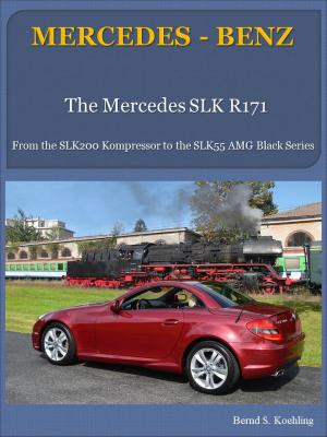 Cover of the book Mercedes-Benz R171 SLK with buyer's guide and VIN/data card explanation by Dave Glowacz