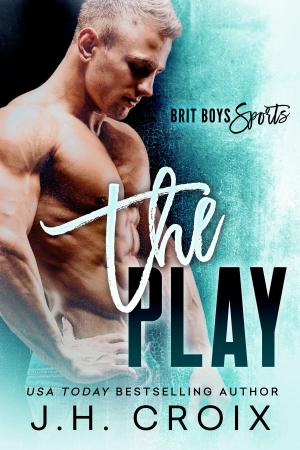 Cover of the book The Play by Katy Baker