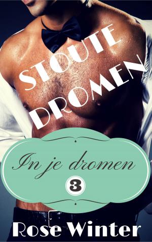 Cover of the book Stoute dromen by Elyssa Patrick