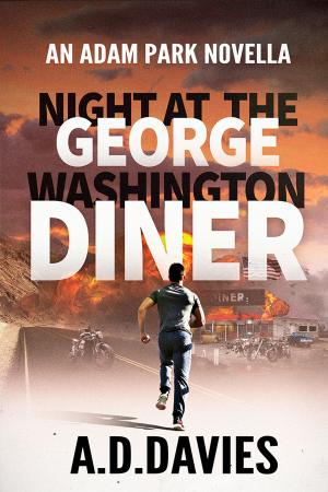 Cover of the book Night at the George Washington Diner by E.M. Mispiel