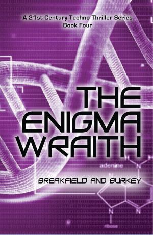 Cover of the book The Enigma Wraith by Jamie Friesen