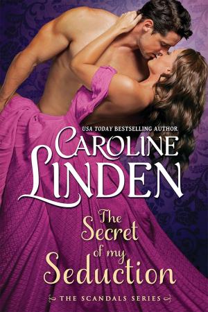 Cover of The Secret of My Seduction