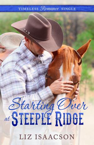 Cover of the book Starting Over at Steeple Ridge by Regina Scott, Sarah M. Eden, Jen Geigle Johnson, Annette Lyon, Krista Lynne Jensen, Heather B. Moore
