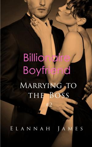 bigCover of the book Billionaire Boyfriend by 