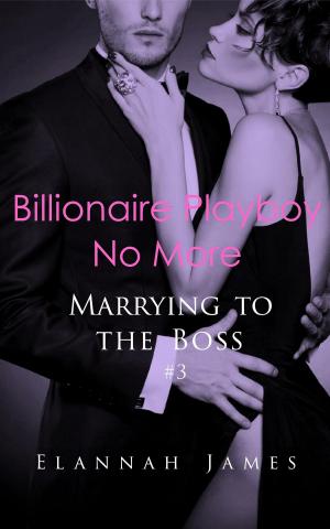 Cover of the book Billionaire Playboy No More by D.R. Graham
