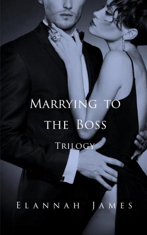 Book cover of Marrying to the Boss Trilogy