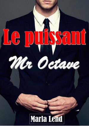Book cover of Le puissant Mr Octave