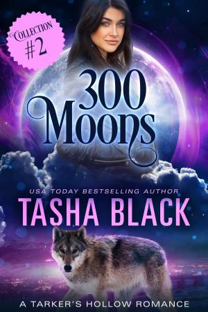 bigCover of the book 300 Moons Collection 2 by 
