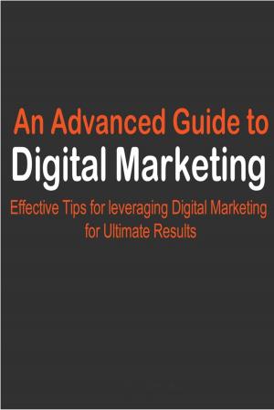 Cover of the book Advanced Guide to Digital Marketing by Laura Maya