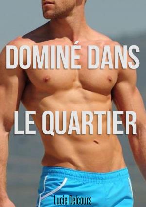 Cover of the book Dominé dans le quartier by Lucie Delcours