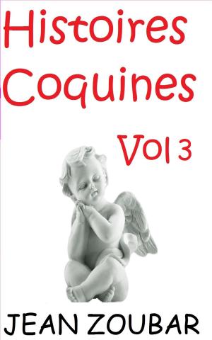 Cover of the book Histoires coquines 3 by Jean Zoubar
