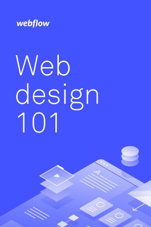 Cover of Web Design 101