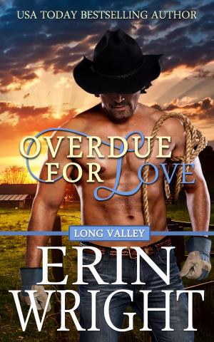 Cover of the book Overdue for Love by Erin Wright