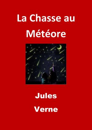Cover of the book La Chasse au Météore by Jules Verne