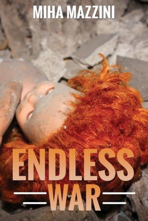 Book cover of Endless War