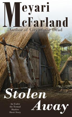Cover of the book Stolen Away by Meyari McFarland