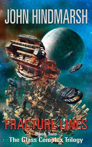 Cover of the book Fracture Lines by V.G. Harrison