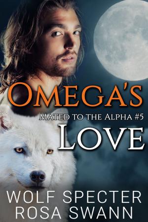 bigCover of the book Omega's Love by 