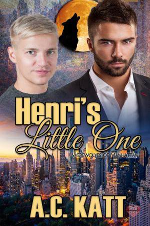 Cover of the book Henri's Little One by Tabitha Blake