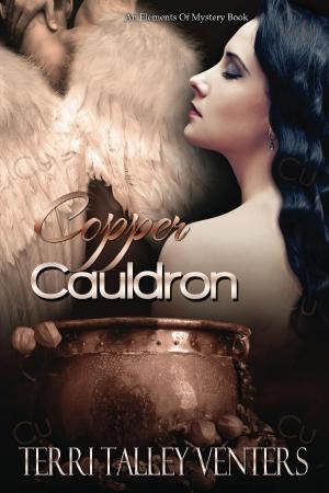 Cover of the book Copper Cauldron by Rebecca Zettl