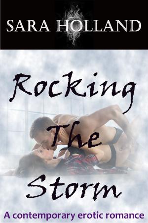 Book cover of Rocking The Storm