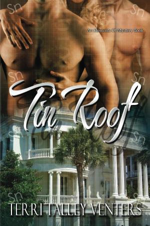 Cover of the book Tin Roof by Molly MacRae