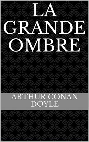 Cover of the book La Grande Ombre by Jean Féron