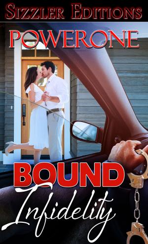 Book cover of Bound Infidelity