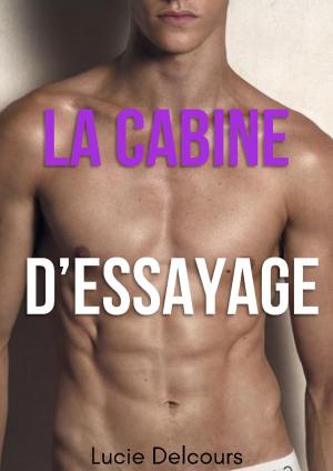 Cover of the book La cabine d'essayage by Lucie Delcours