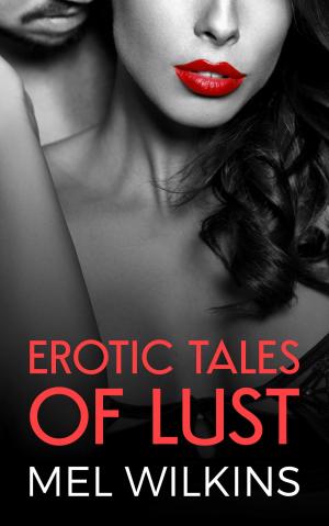 Cover of the book Erotica Tales Of Lust by Dawn Steiner